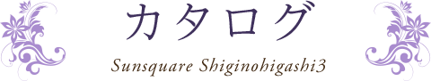 新築一戸建てカタログ